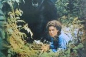Gorillas in the Mist Book Review (2025)