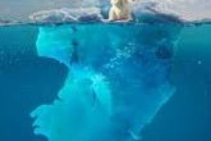6 Best Books about Climate Change (2025)