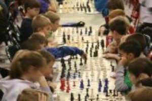 3 Best Chess Books for Kids (2025)