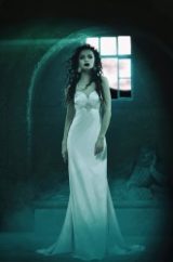 Best Vampire Book Series Review