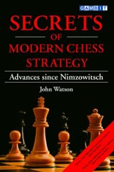 Secrets of Modern Chess Strategy Book Review