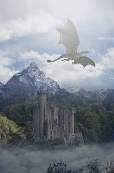 Best Dragon Book Series Review