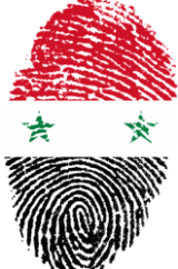 Best Syrian Civil War Books Review