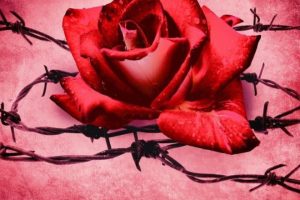 Twist Me Book Review (2025)