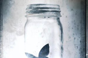 Beautiful Disaster Book Review (2025)