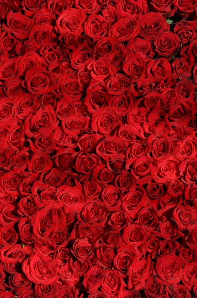 Best Romance Books Review