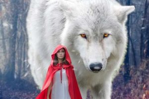 5 Best Werewolf Romance Books (2025)
