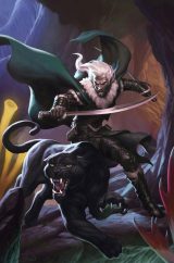 Best Drizzt Do'Urden Books Review