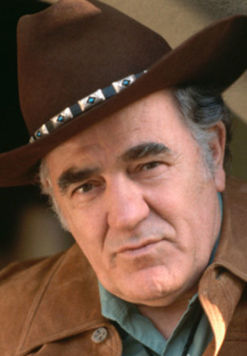 The 5 Best Louis L'Amour Novels For Western Lovers – The Dorset Book  Detective