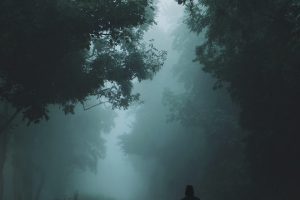 12 Best Modern Poetry Books (2025)