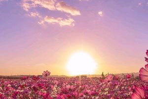 25 Best Poetry Books Ever (2025)