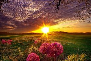 10 Best Nature Poetry Books (2025)