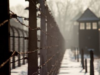 Important Books About Holocaust