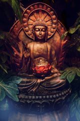 Best Books on Zen Buddhism