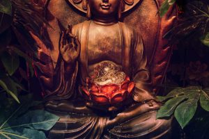 10 Best Books on Zen Buddhism (2024)
