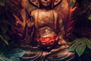 10 Best Books on Zen Buddhism (2025)