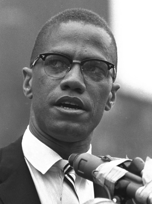 Best Malcolm X Books